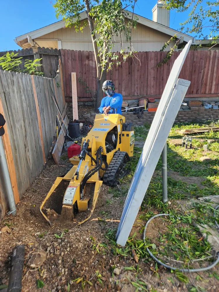 Hazardous tree removal on a residential property in Antelope, CA Hazardous tree removal on a residential property in Antelope, CA