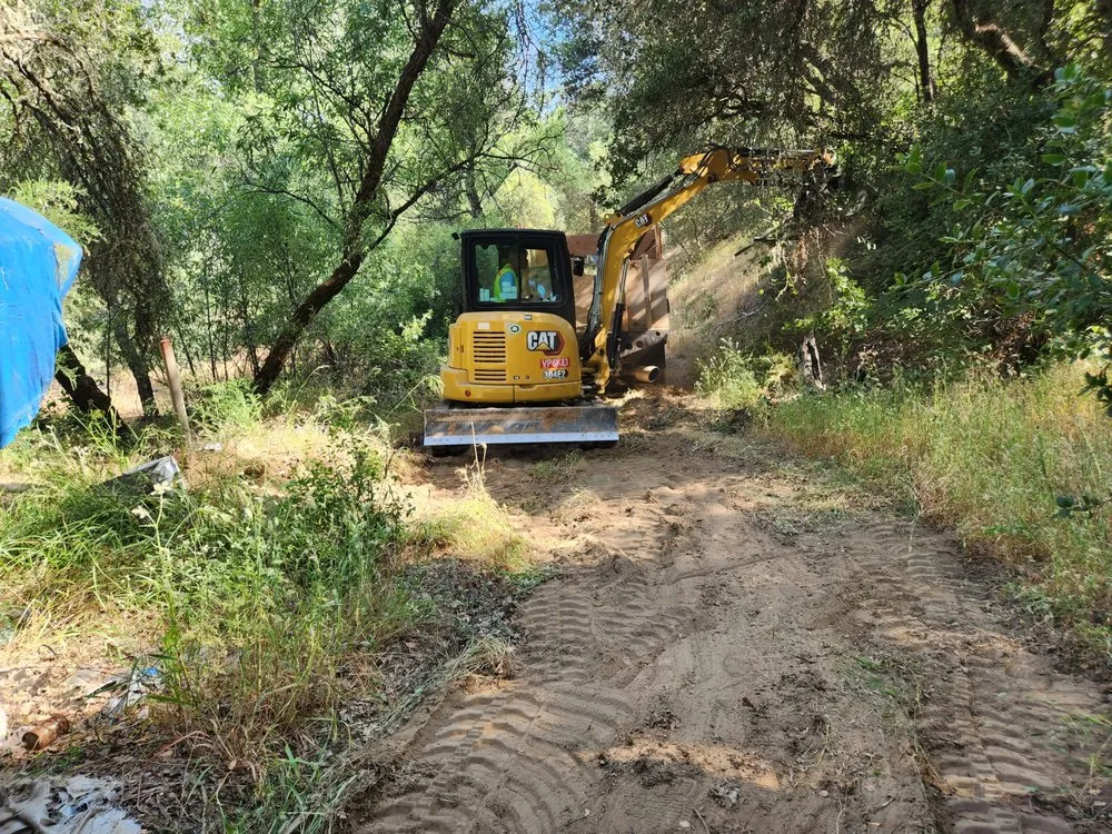 Roadside tree maintenance and clearing in Antelope, CA Roadside tree maintenance and clearing in Antelope, CA