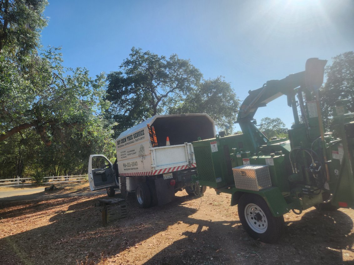 Stump grinding restoring yard space in Antelope, CA Stump grinding restoring yard space in Antelope, CA