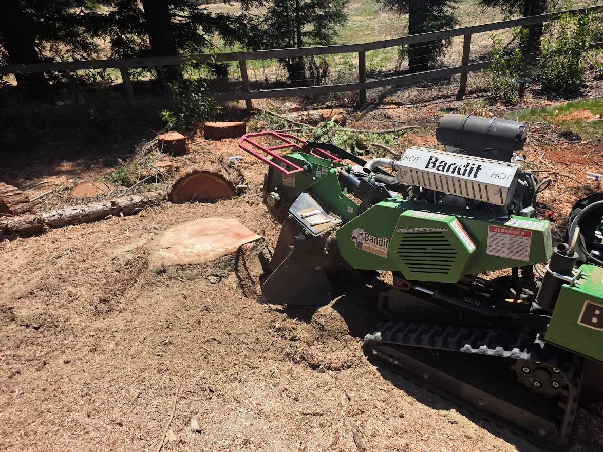 Stump grinding equipment on site in Antelope, CA Stump grinding equipment on site in Antelope, CA