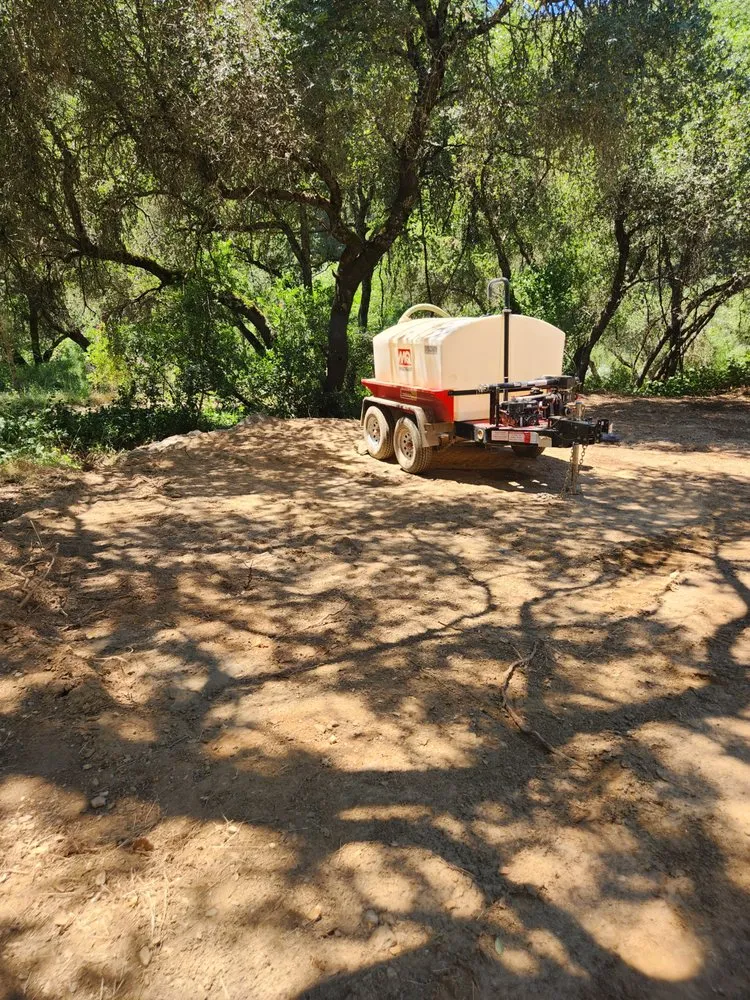 Tree pruning by Sky Crew Tree Service in Antelope, CA Tree pruning by Sky Crew Tree Service in Antelope, CA