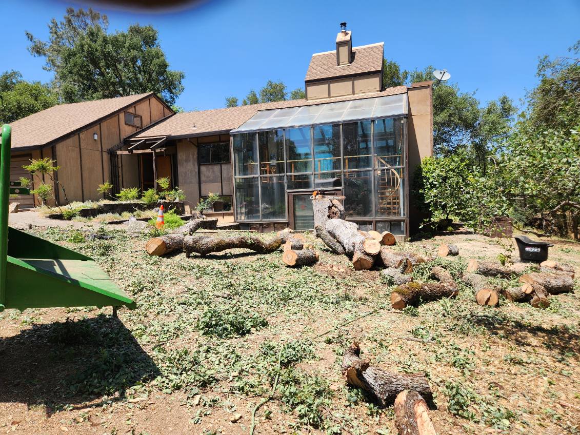 Tree service Antelope, CA — Sky Crew field work Tree service Antelope, CA — Sky Crew field work