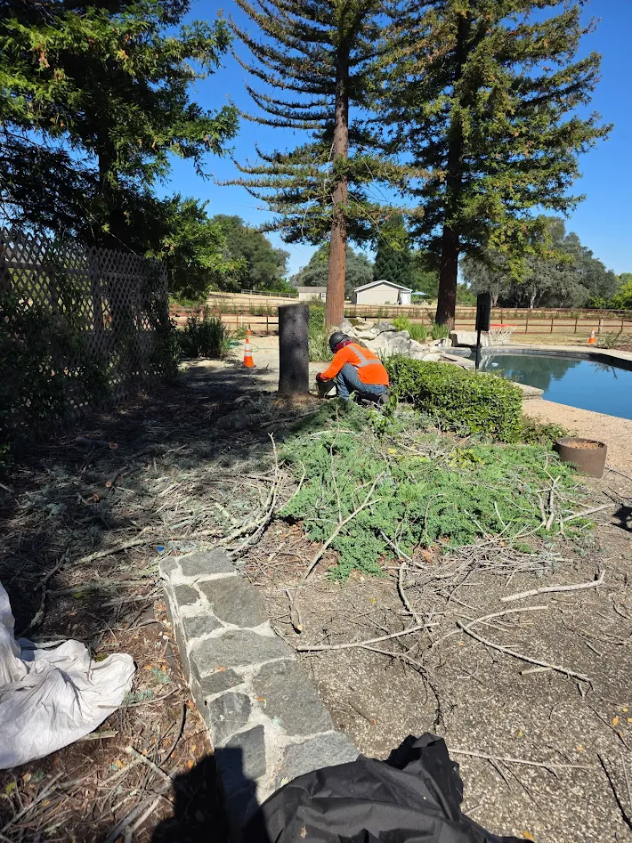 Tree service equipment and boom lift in Antelope, CA Tree service equipment and boom lift in Antelope, CA